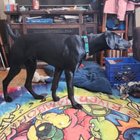 Onyx - Photo 14