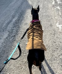 Nellie - Photo 16