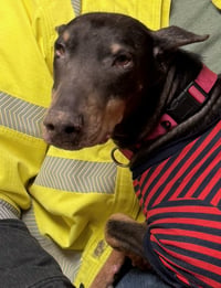 Nellie - Photo 7