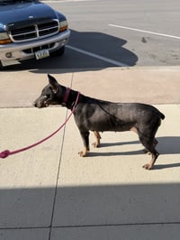 Nellie - Photo 5