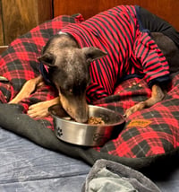 Nellie - Photo 10