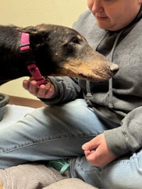 Nellie - Photo 13