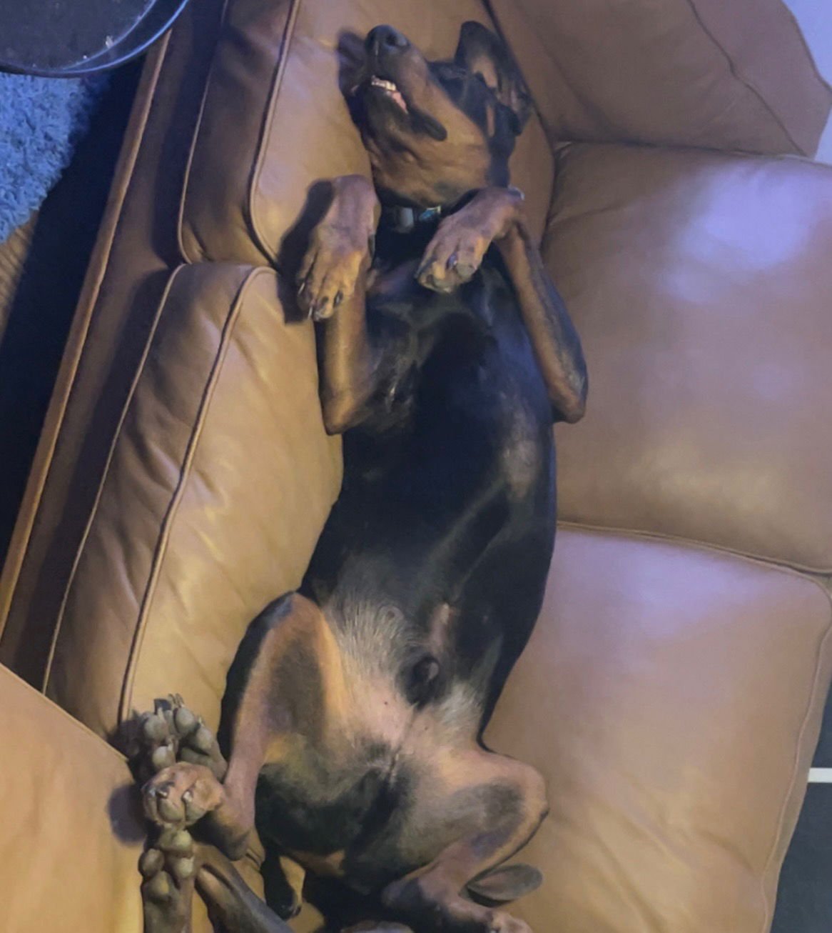 Vinny Foster Needed! - Photo 3