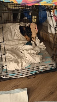Tootsie - Photo 6