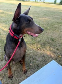 Maggie - Photo 7