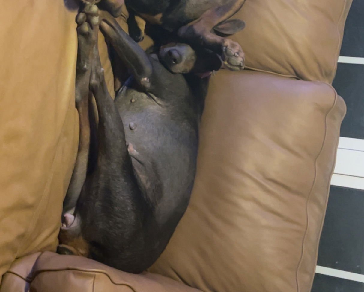 Maggie Foster Needed!! - Photo 4