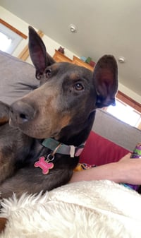 Maggie - Photo 5