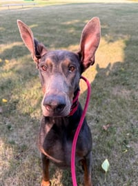 Maggie - Photo 1