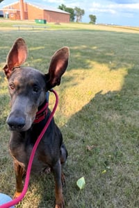 Maggie - Photo 8