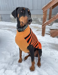 Talos Foster Needed!! - Photo 4