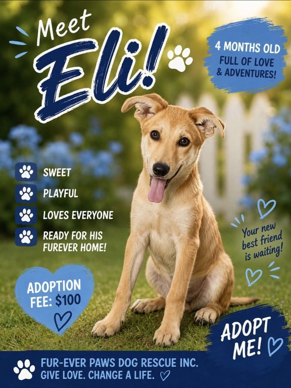 Eli (Adoption Fee $100) Image