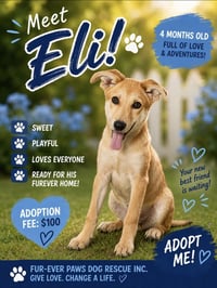 Eli (Adoption Fee $100) - Photo 1