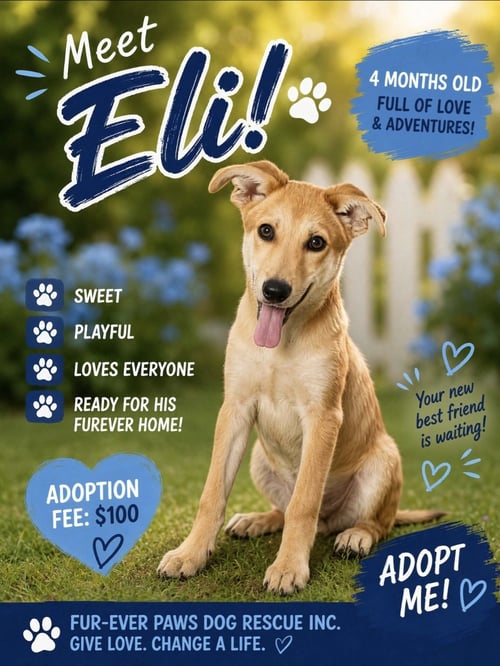 ELI (ADOPTION FEE $100) - Labrador Retriever available for adoption
