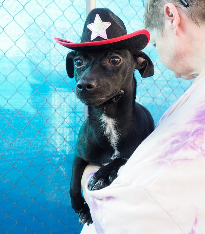 Pepper Image
