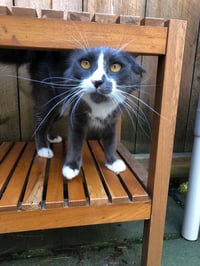 Callie (prev. Momma) - Photo 6