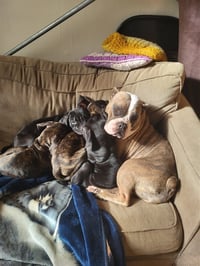 Penny - Photo 9