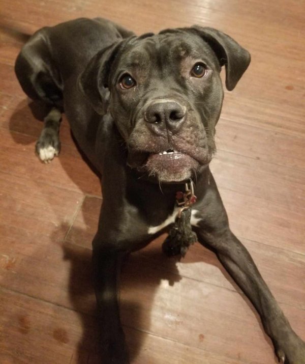 Penny Image