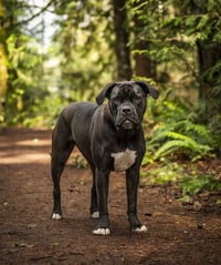 Penny - Photo 6