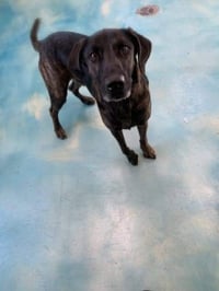Taz - Photo 13