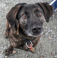 Taz - Photo 5