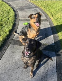 Taz - Photo 7