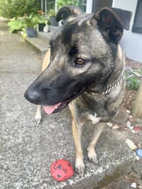 Ella - Photo 4