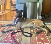 Ella - Photo 2