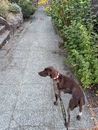 May - Photo 10