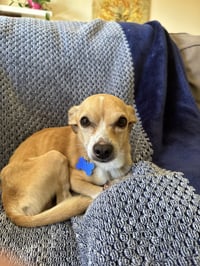 TIMON - Pending - Photo 3