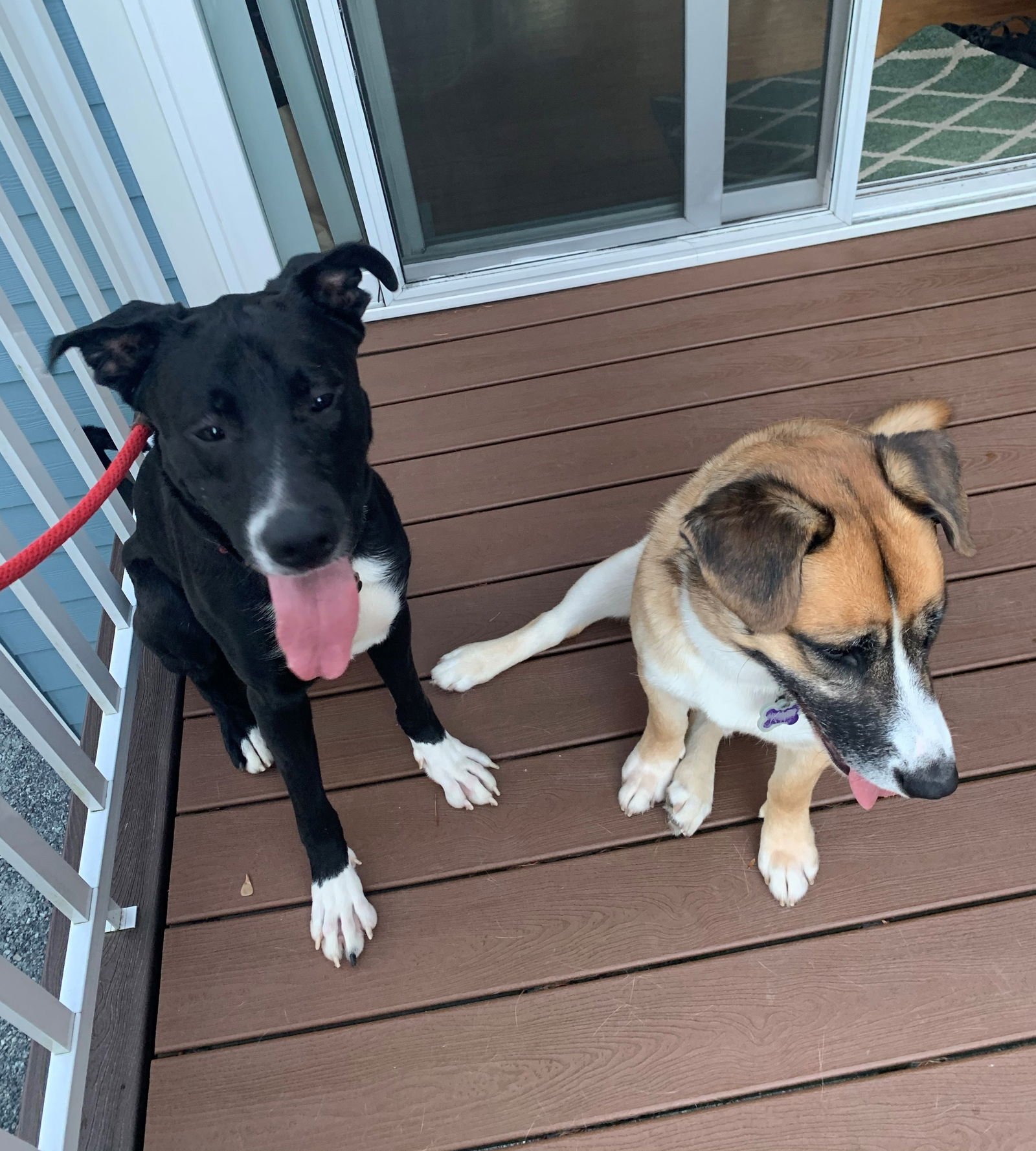 Joe Jackson - Photo 6