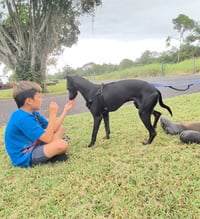 Handsome Jack - Photo 3