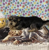 Sandy - Photo 5