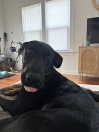 Edison - Photo 4