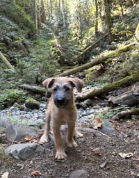 Garth - Photo 6