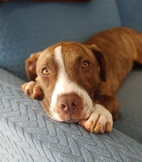 Kiki - Photo 10