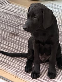 Atticus - Photo 1