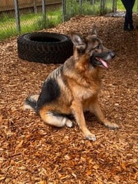 Rico - Photo 10