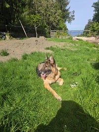 Rico - Photo 9