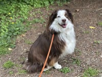 Libby - Photo 1