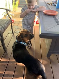 Pogo - Photo 4