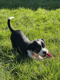 Delia - Photo 1