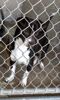 Tenold - Photo 6