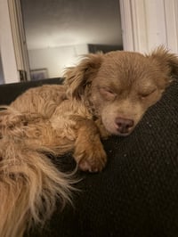 Leni - Photo 3