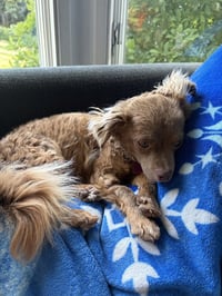 Leni - Photo 4