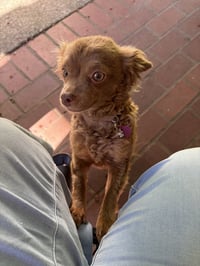 Leni - Photo 5