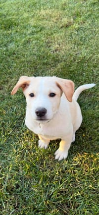 Max - Photo 11