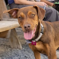 Leela - Photo 1