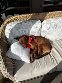 Leela - Photo 5