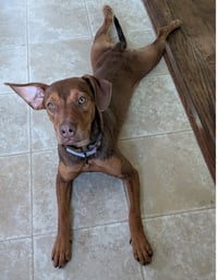 Leela - Photo 9