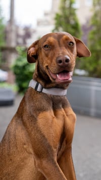Leela - Photo 3